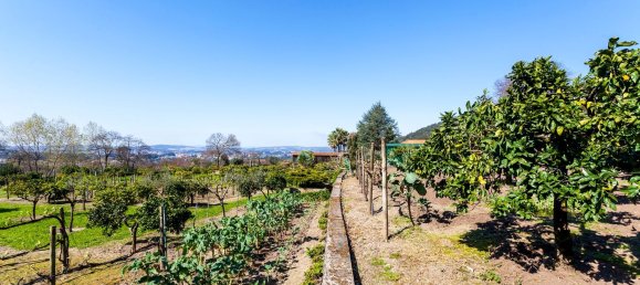 6 Schlafzimmer Haus in Santo Tirso, Portugal, Nr. 55742 24
