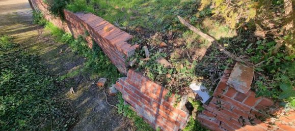 2 chambres Villa à Montopoli in Val d'Arno, Italy No. 207828 17