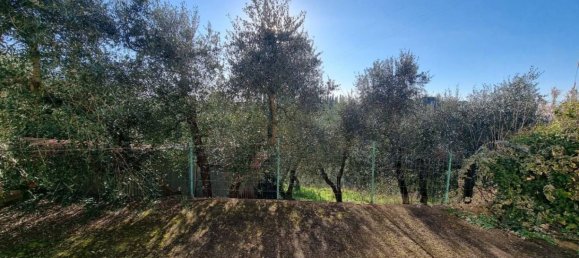 2 chambres Villa à Montopoli in Val d'Arno, Italy No. 207828 16