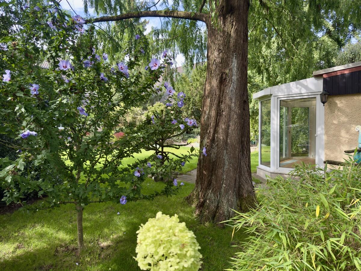 2 bedrooms Bungalow in Barnim, Germany No. 372127