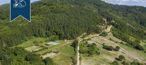 10 Schlafzimmer Gewerbliche Immobilie in Borgo San Lorenzo, Italy, Nr. 331180 6