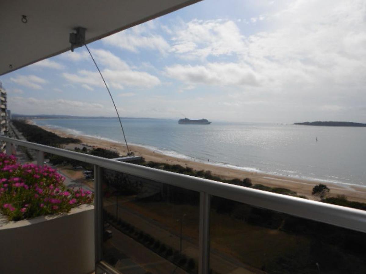 4 bedrooms Apartment in Maldonado, Uruguay No. 5582