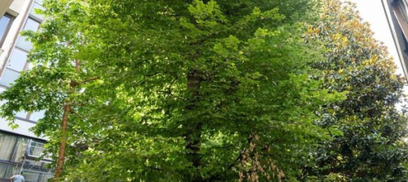 Studio à Turin, Italy No. 211897 19