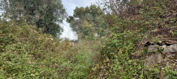 2 غرف نوم منزل في Alvaiazere, Portugal رقم 21177 2