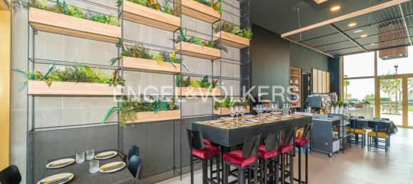 8 bedrooms Apartment in Benidorm, Spain No. 88290 45