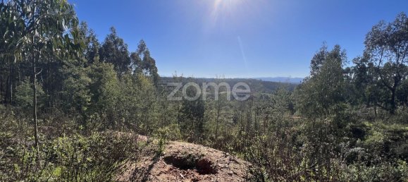 Terreno em Coimbra, Portugal 7550 m² N.º 61270 8