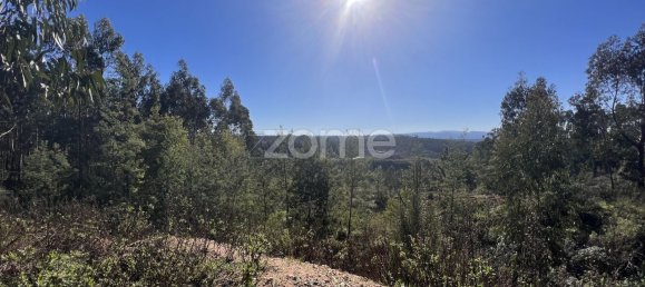 Terreno em Coimbra, Portugal 7550 m² N.º 61270 6