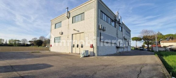5 rooms Warehouse in Cervia, Italy No. 73596 11