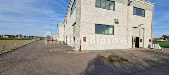 5 rooms Warehouse in Cervia, Italy No. 73596 13