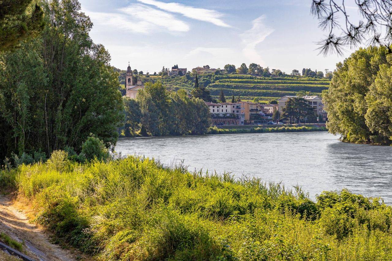 5 rooms Apartment in Verona, Italy No. 36123