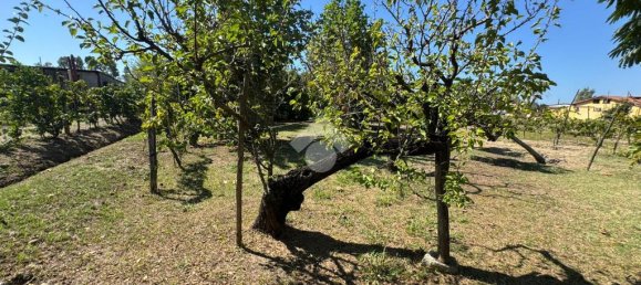 2 غرف نوم فيلا في Minturno, Italy رقم 371427 24