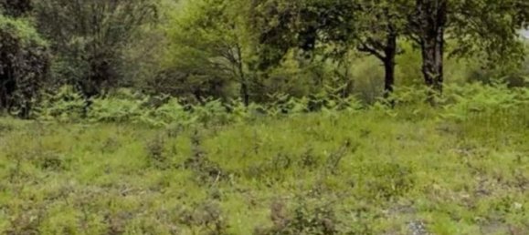  Land in Basque Autonomous Community, Spain No. 150955 7