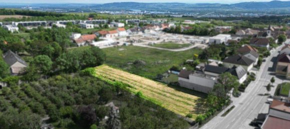  Land in Krems an der Donau, Austria No. 164857 2