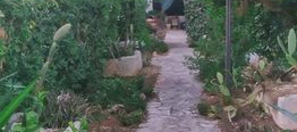 10 rooms Villa in San Pancrazio Salentino, Italy No. 293519 8