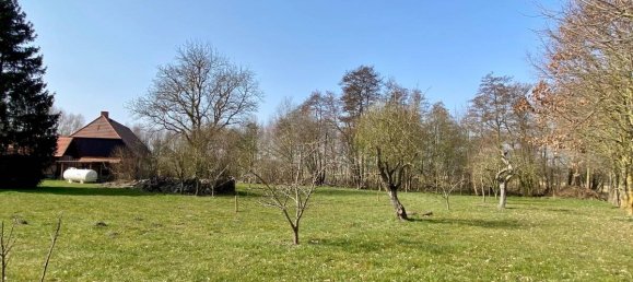 Дом с 4 спальнями в Gustrow, Германия № 183933 11