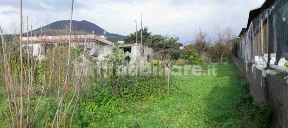 5-Zimmer Haus in Torre del Greco, Italy, Nr. 313636 19