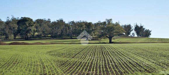 24850m² Land in Vigonza, Italy No. 341377 11