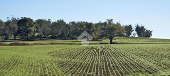 24850m² Land in Vigonza, Italy No. 341377 3