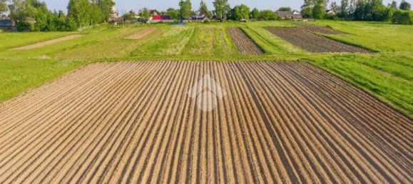 24850m² Land in Vigonza, Italy No. 341377 5