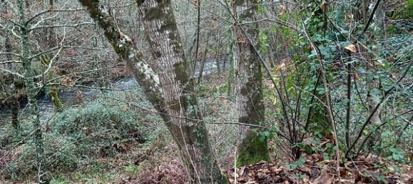 2 chambres Maison à Nespereira, Portugal No. 24751 4