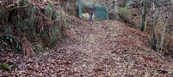 2 chambres Maison à Nespereira, Portugal No. 24751 2