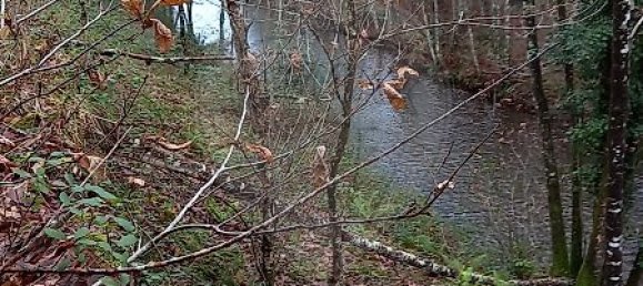 2 chambres Maison à Nespereira, Portugal No. 24751 5