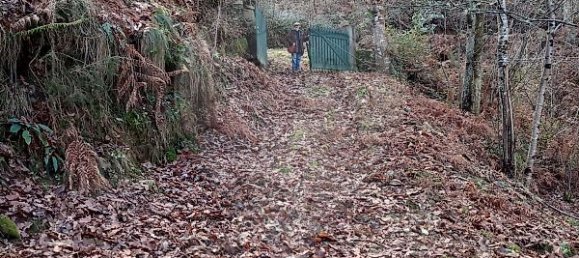 2 chambres Maison à Nespereira, Portugal No. 24751 8