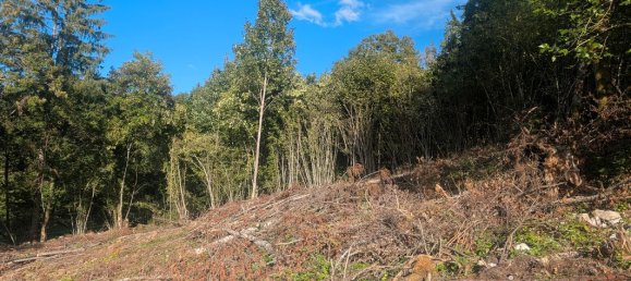 Terreno em Clairvaux-les-Lacs, France N.º 362779 3