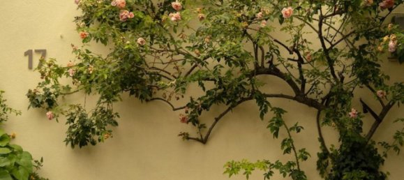 Villa T11 em Bellaria Igea Marina, Italy N.º 326386 10