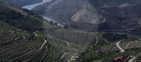 2 غرف نوم منزل في Valenca do Douro, Portugal رقم 169491 15