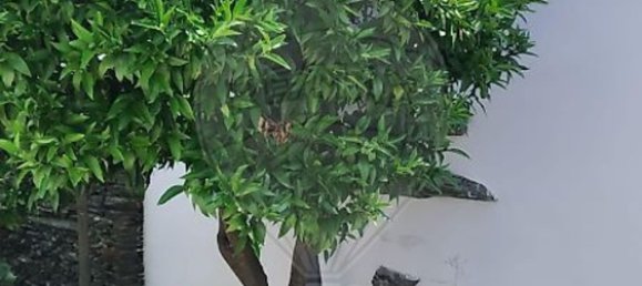 2 غرف نوم منزل في Valenca do Douro, Portugal رقم 169491 8