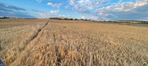 Земельный участок 31500м² в Гранада, Испания № 162007 2