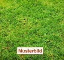  Land in Hochtaunuskreis, Germany No. 356572