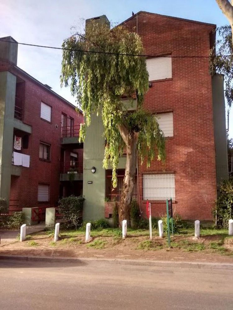 Studio in Mar del Plata, Argentina No. 100956