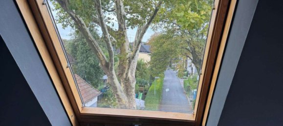 Moradia em banda de 4 divisões em Essen, Germany N.º 306312 16