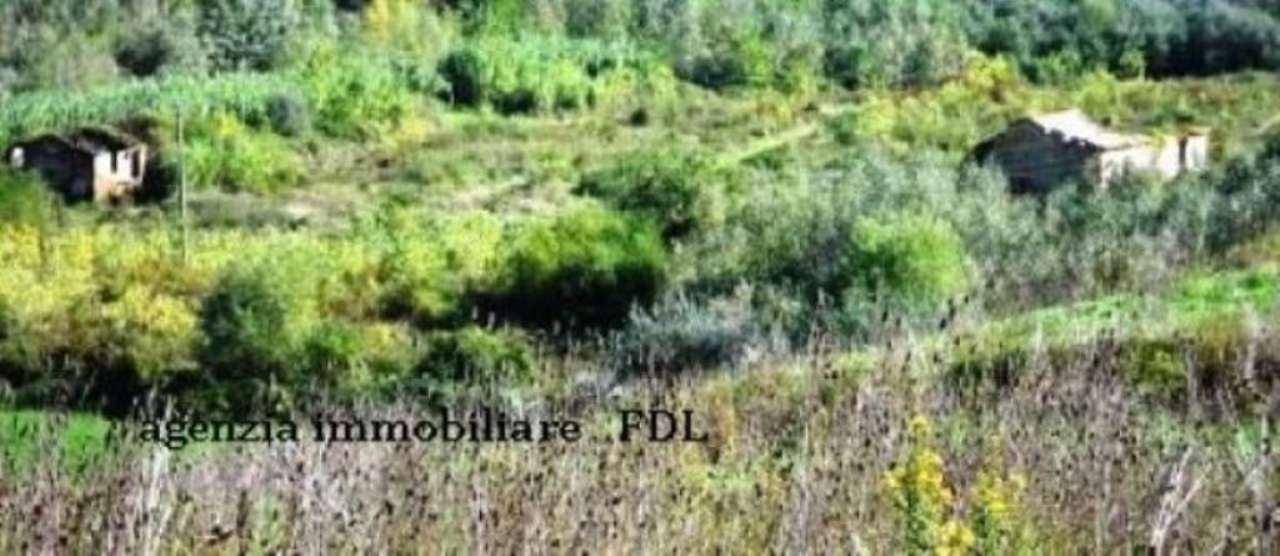 3 chambres Maison à Peccioli, Italy No. 116395