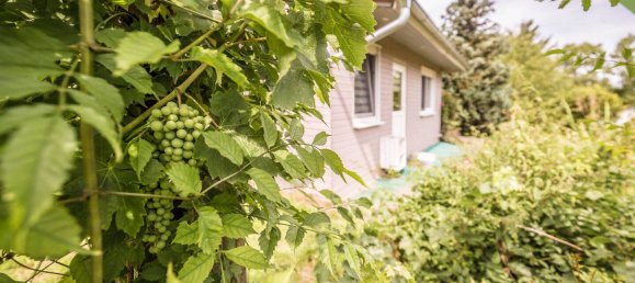 Земельный участок в Лейпциг, Германия № 294607 21