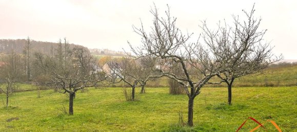 Terreno em Hundling, France 1550 m² N.º 46927 4