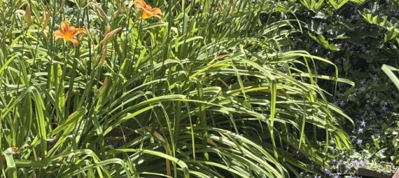 4 bedrooms Duplex in Augsburg, Germany No. 219261 5