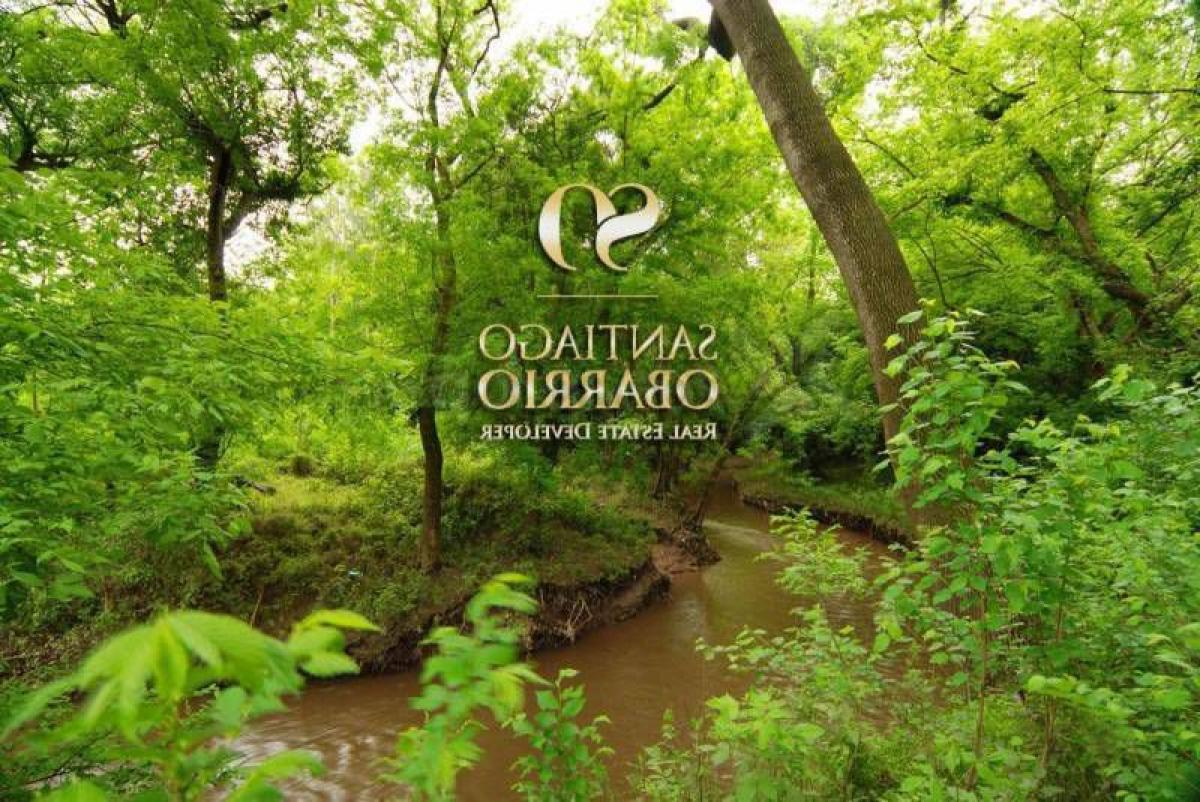 Grundstück in Buenos Aires, Argentina, Nr. 119336