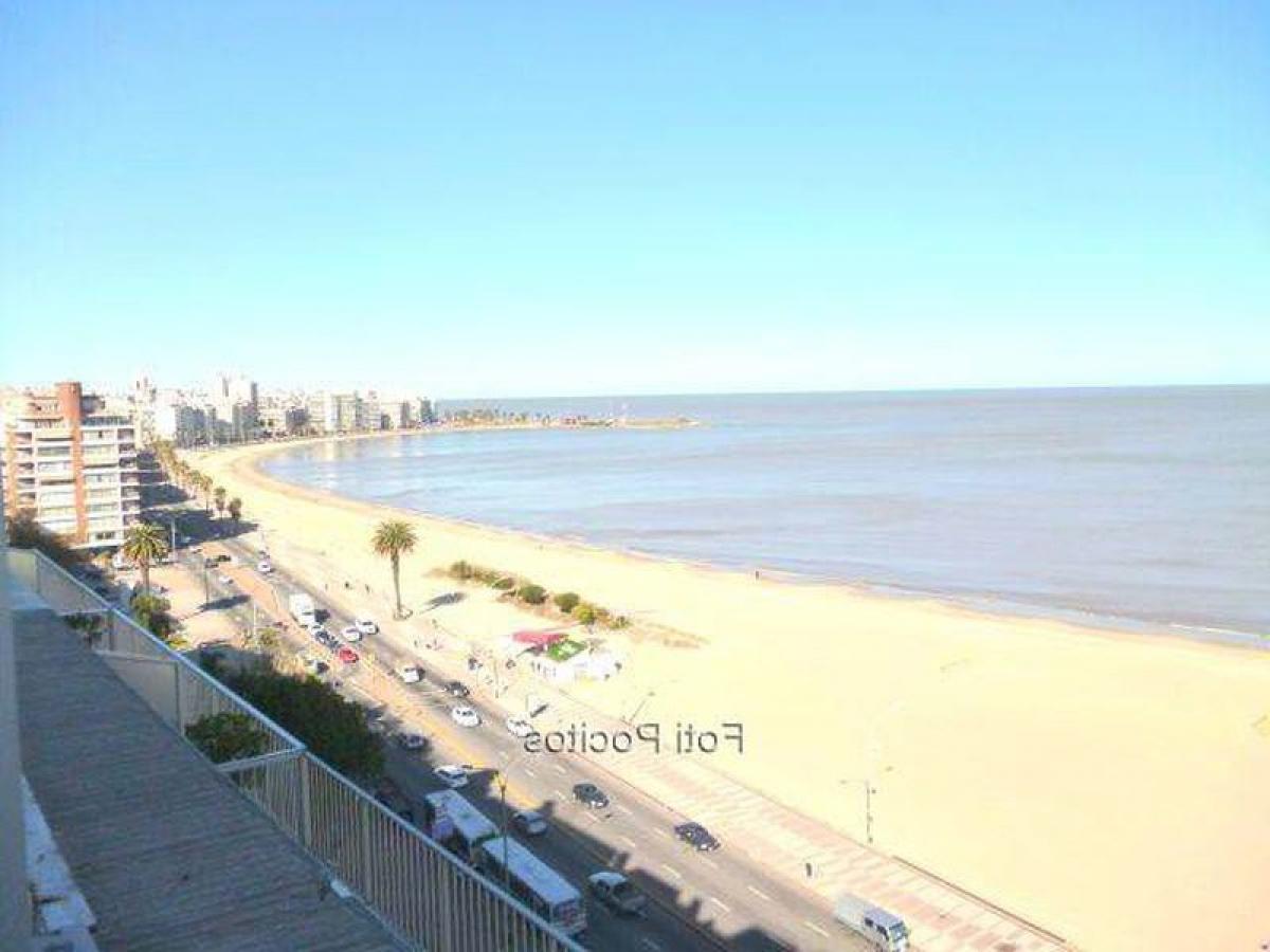 Apartamento de 2 dormitorios en Montevideo, Uruguay No. 671
