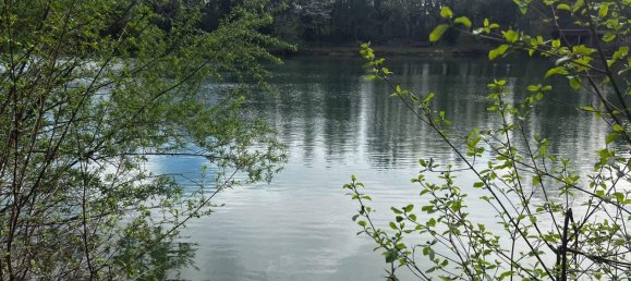 Земельный участок в Лосдорф, Австрия № 247551 17