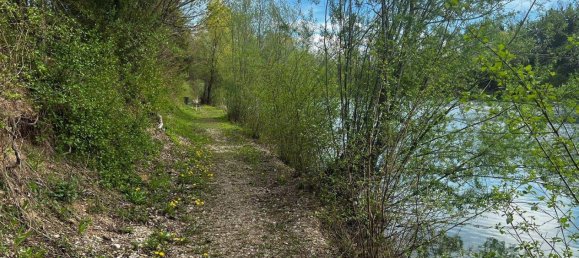 Земельный участок в Лосдорф, Австрия № 247551 16