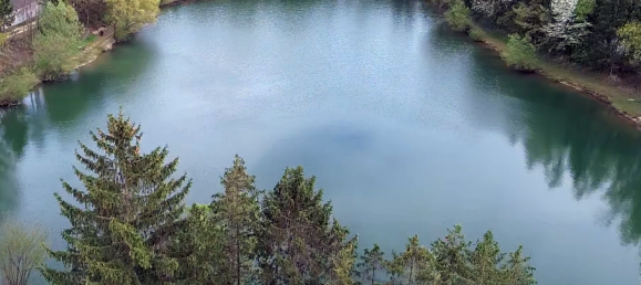 Земельный участок в Лосдорф, Австрия № 247551 3