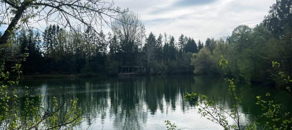 Земельный участок в Лосдорф, Австрия № 247551 15