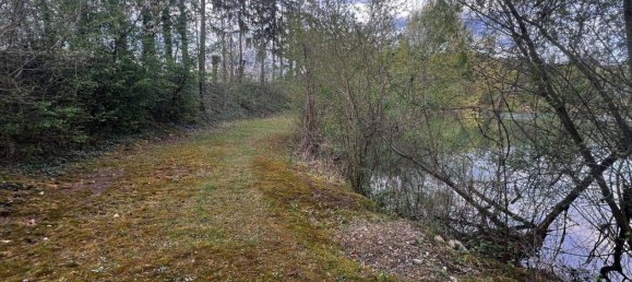 Земельный участок в Лосдорф, Австрия № 247551 27