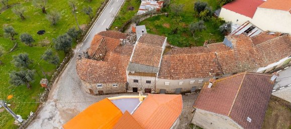 3 Schlafzimmer Haus in Mangualde, Portugal, Nr. 22292 9
