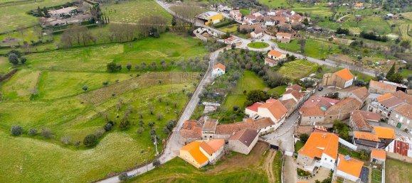 3 Schlafzimmer Haus in Mangualde, Portugal, Nr. 22292 21