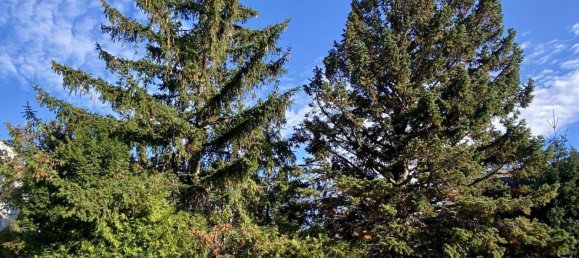 6-Zimmer Haus in Liesing, Austria, Nr. 205374 37