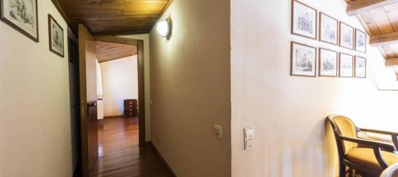 6 rooms Apartment in Capraia Isola, Italy No. 151557 39